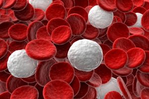 witte rode bloedcellen
