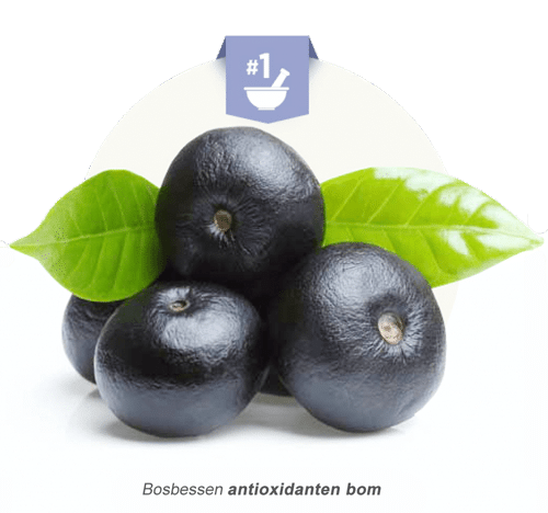 bosbessen-antioxidanten