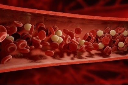 bloed cellen