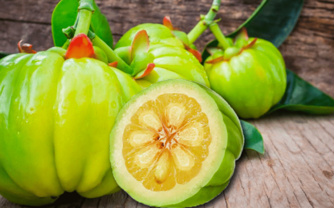 Garcinia Cambogia