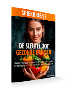 Spiekbriefje