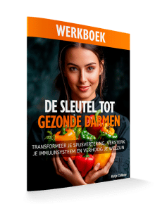 Werkboek