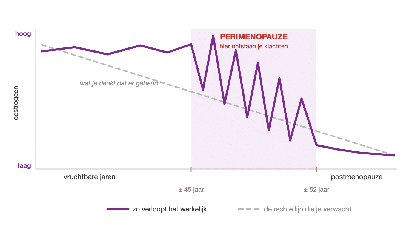 Grafiek: oestrogeen daalt tijdens de perimenopauze grillig in plaats van in een rechte lijn