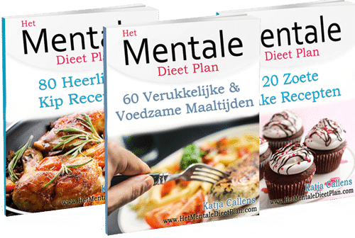 Bonus receptenboek